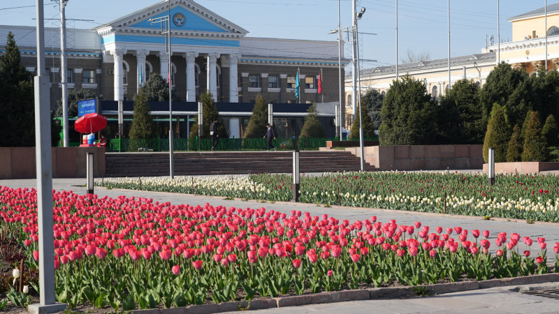 Бишкек. Фото bishkek.gov.kg